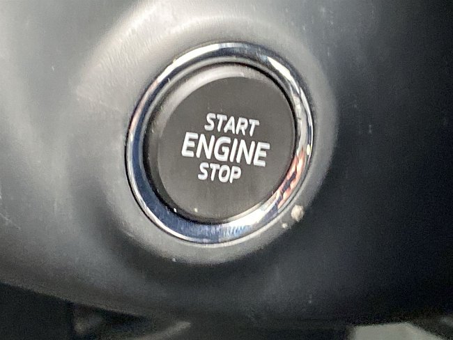20701924.jpg