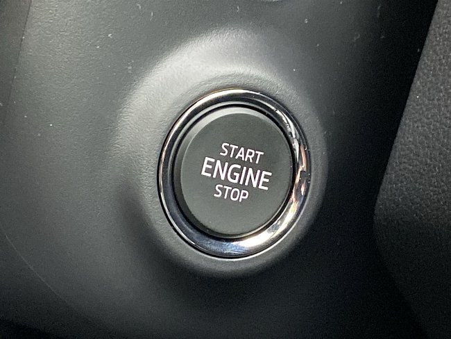 20693305.jpg