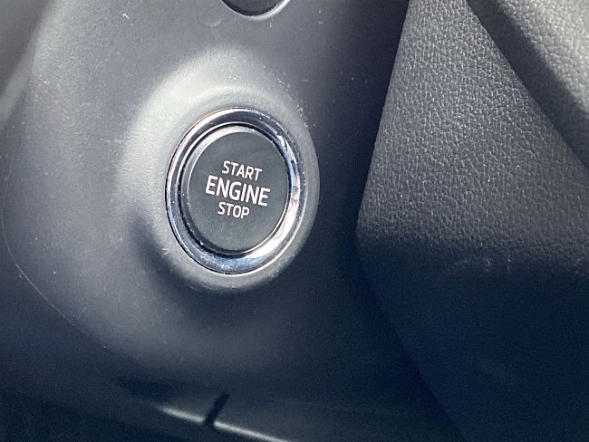 20694431.jpg