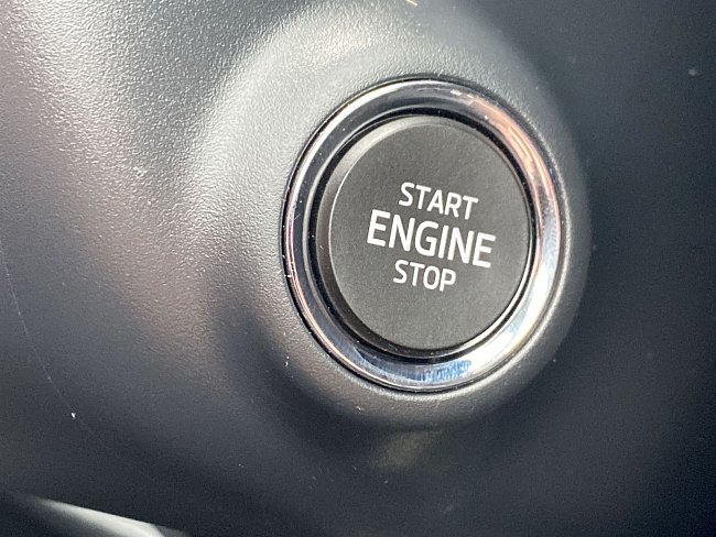 20694655.jpg