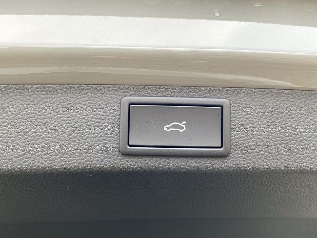 20199595.jpg