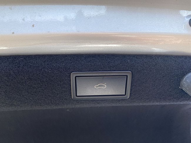 20199588.jpg