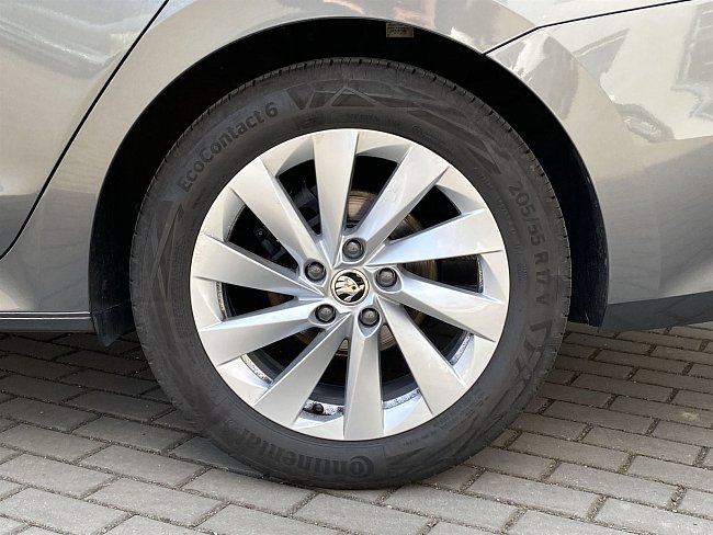 20199561.jpg