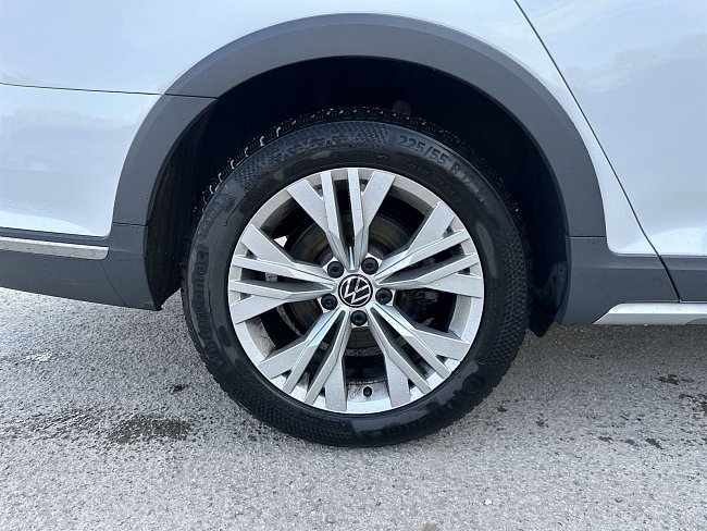 20199595.jpg