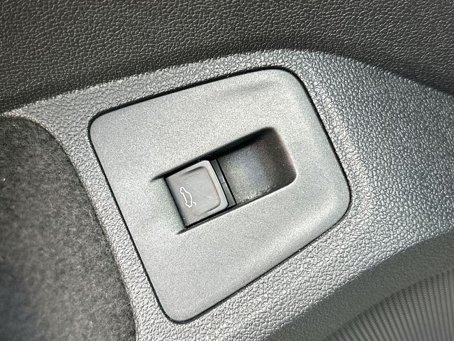 20199558.jpg