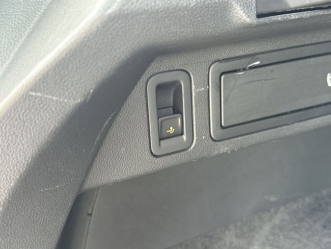 20199561.jpg