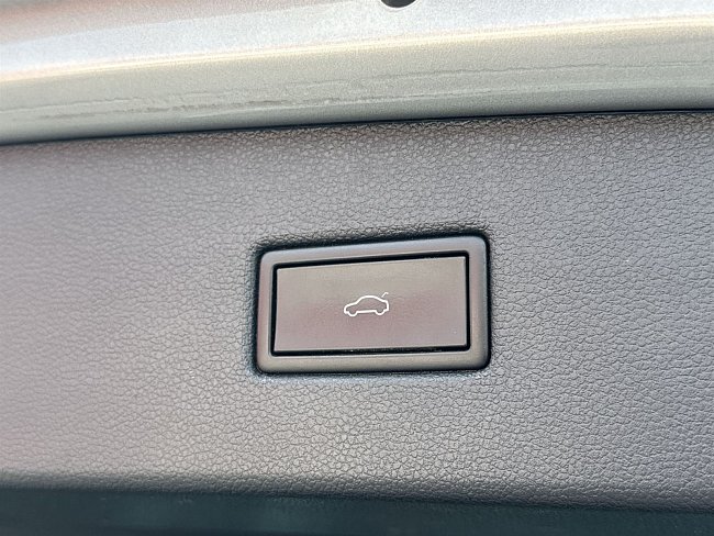 20199566.jpg