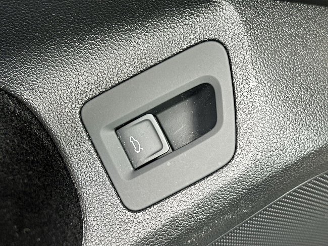 20199556.jpg