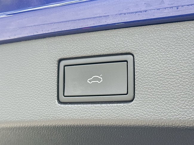 20199566.jpg