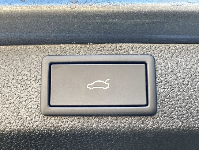 20199664.jpg