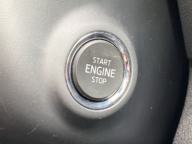 20199665.jpg