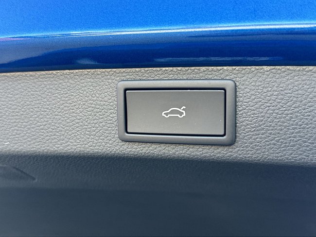 20199460.jpg