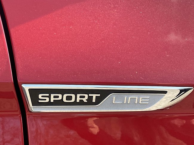 20199458.jpg