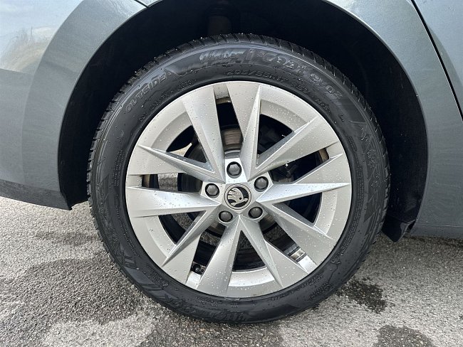 20199440.jpg