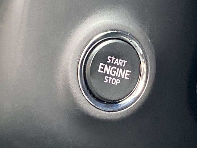 20199544.jpg