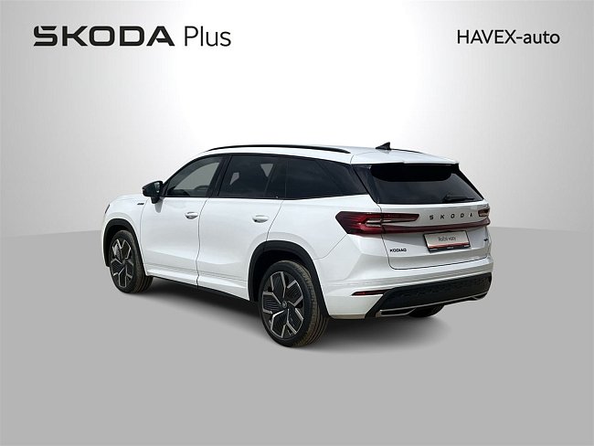 20199491.jpg
