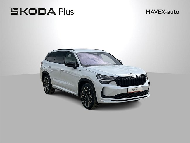 20199495.jpg