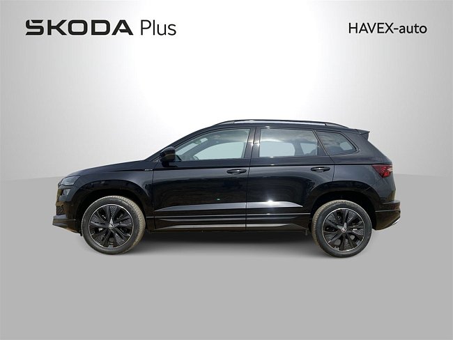 20199500.jpg