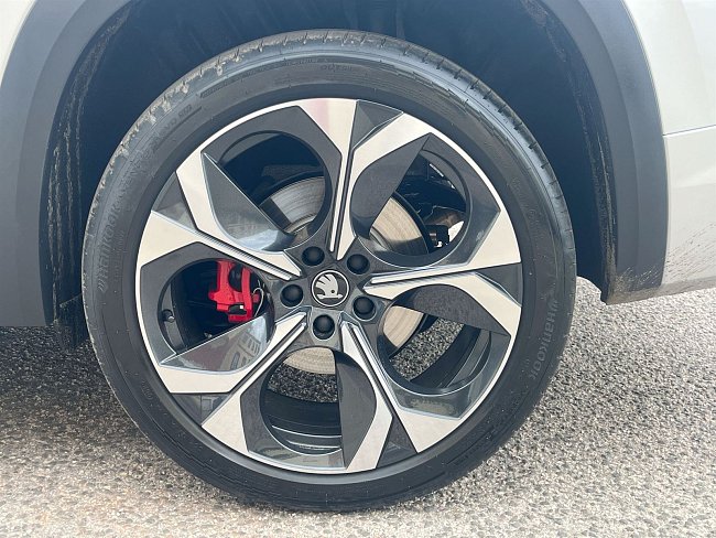 20199541.jpg