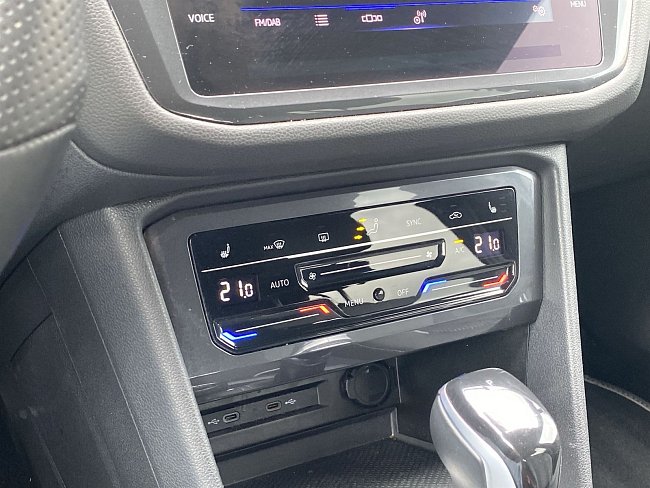 20199498.jpg