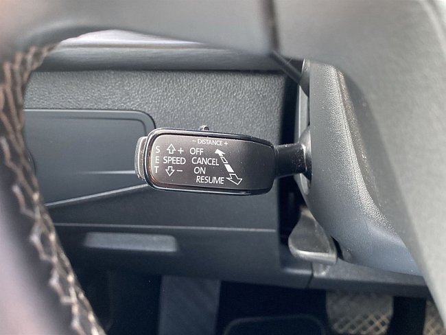 20199852.jpg