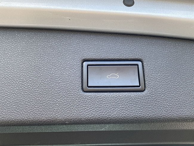 20199860.jpg