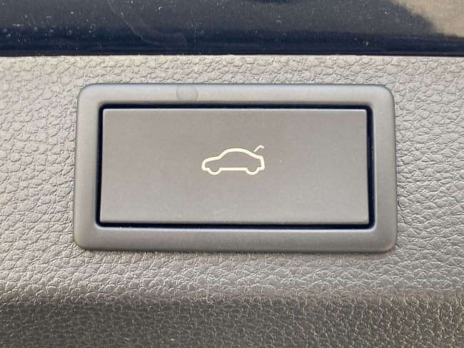 20199846.jpg