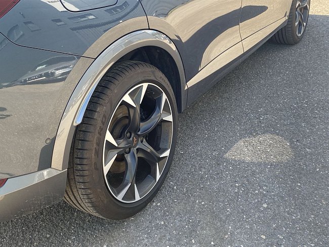 20199855.jpg