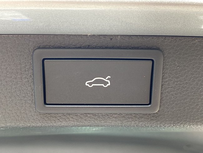 20199897.jpg