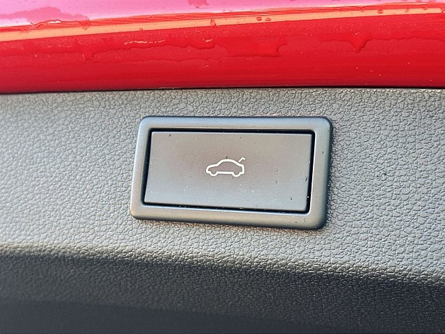 20199898.jpg