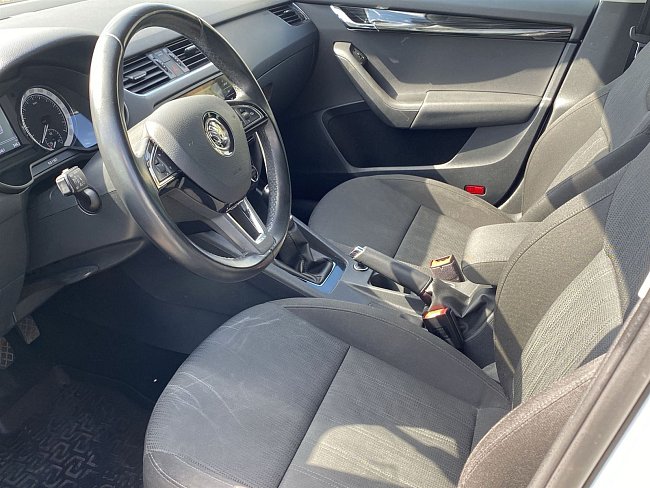 20199880.jpg