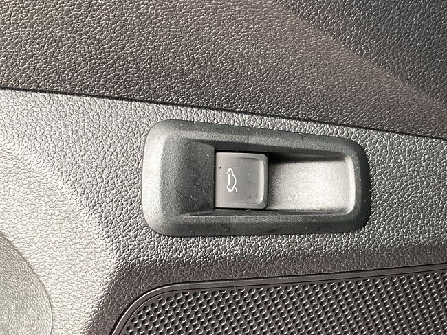 20199874.jpg