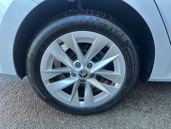 20199889.jpg