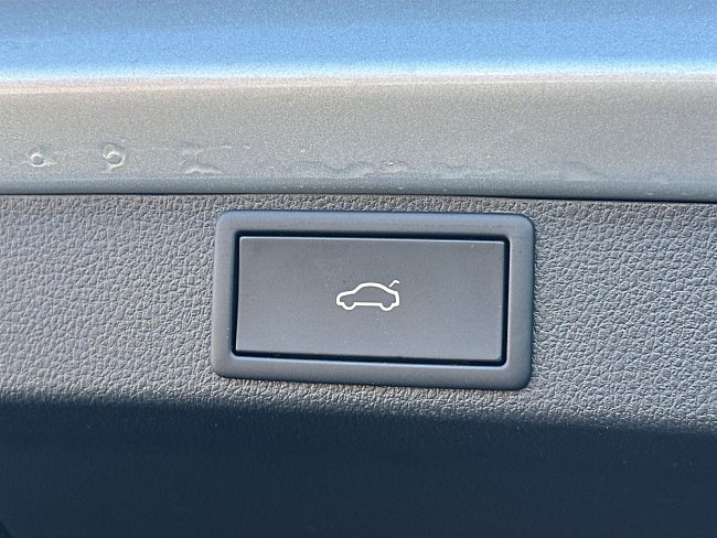 20199894.jpg