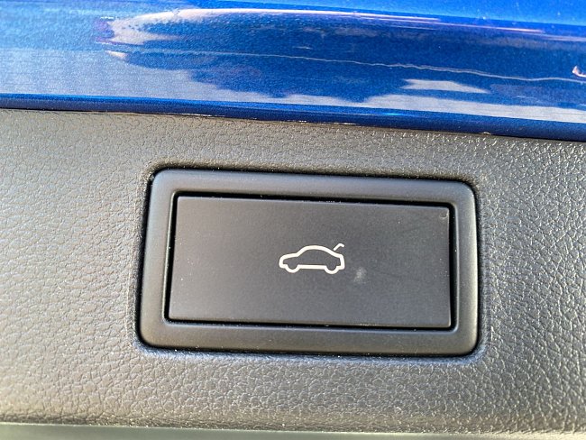 20199895.jpg