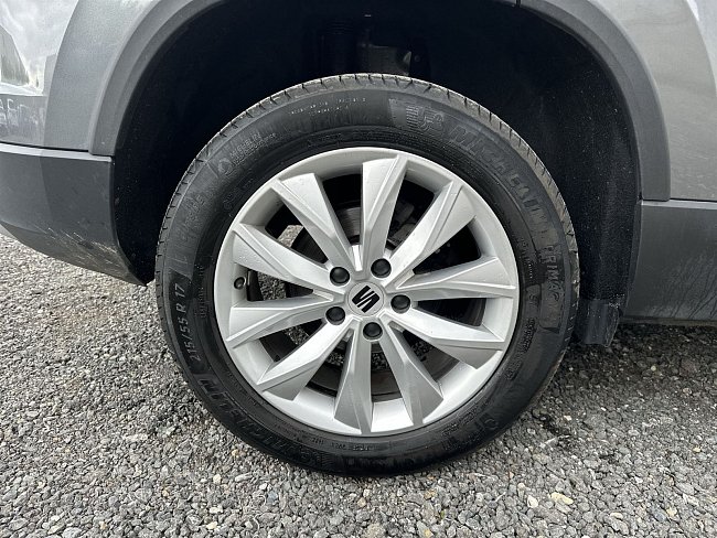 20199873.jpg