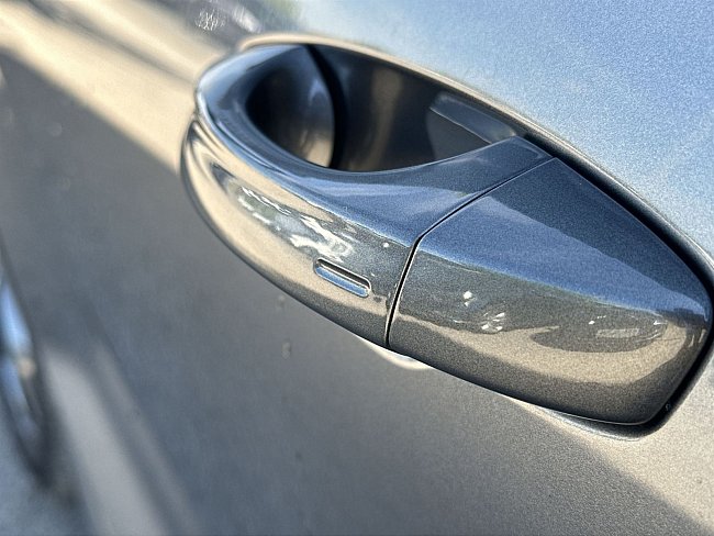 20199737.jpg