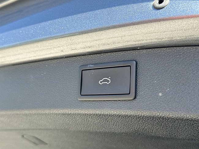 20199742.jpg
