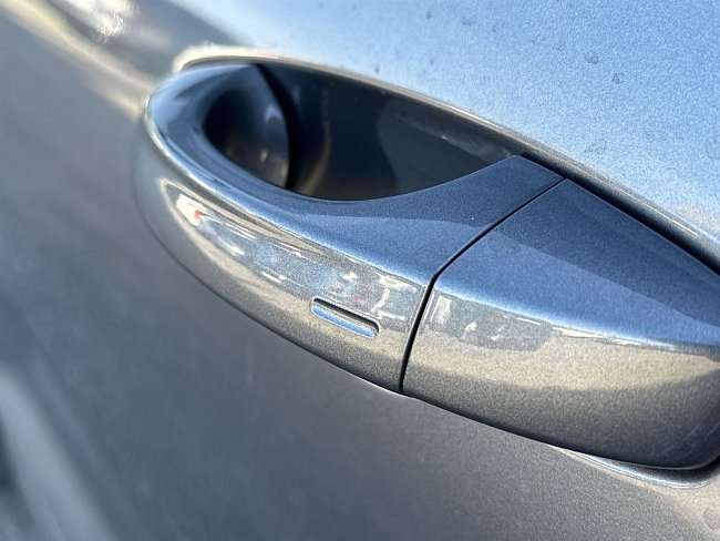 20199741.jpg
