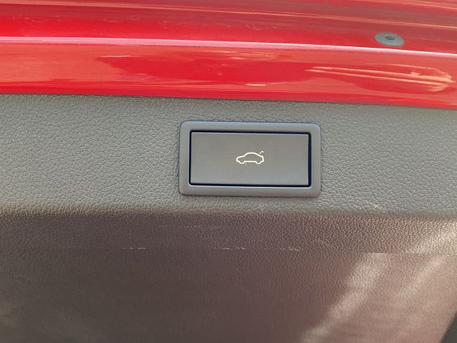 20199737.jpg
