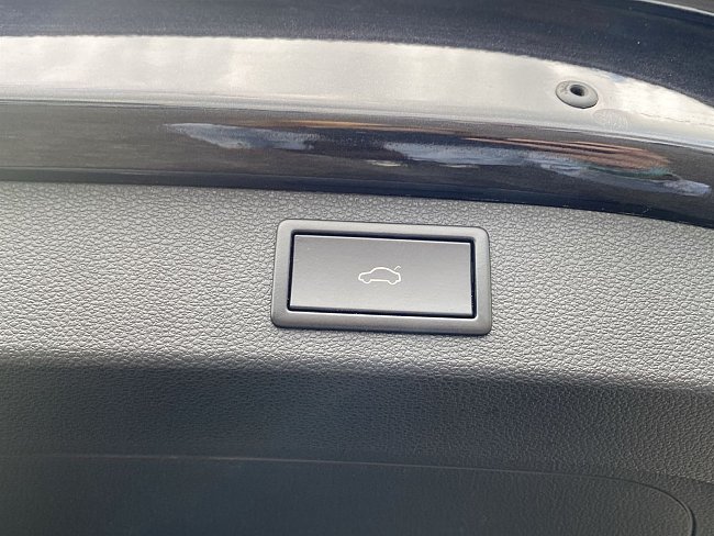 20199738.jpg