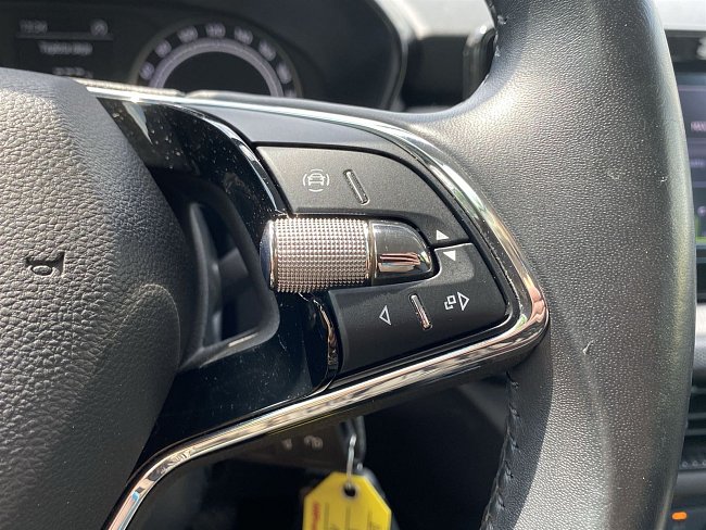 20199690.jpg