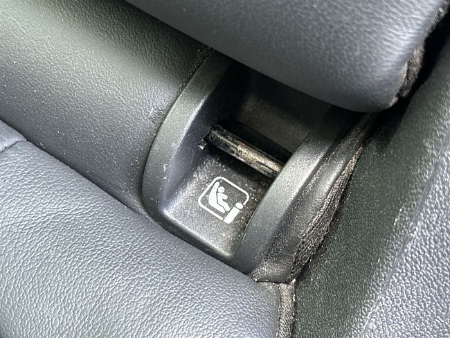 20199792.jpg