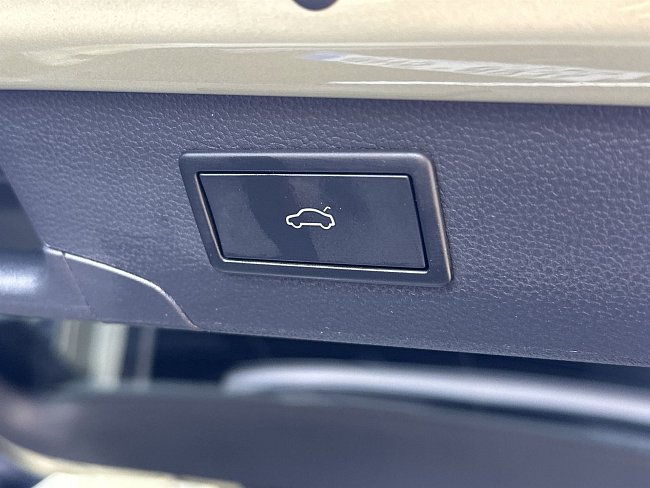 20199785.jpg