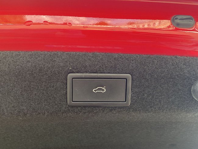 20199759.jpg
