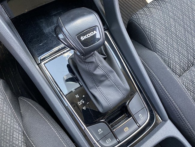 20199998.jpg