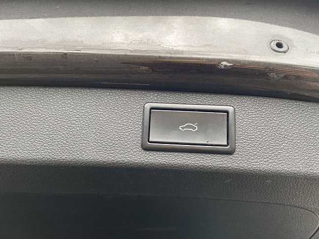 20199973.jpg