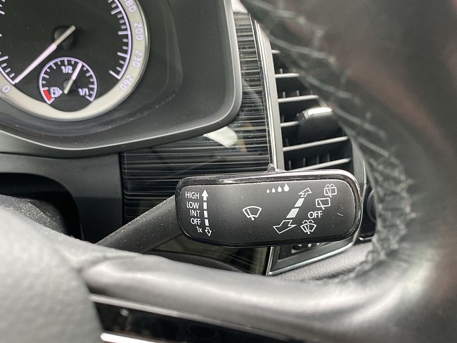 20199997.jpg