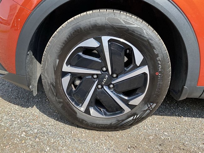 20199973.jpg