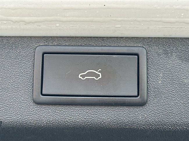 20200287.jpg